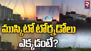 Mosquito Tornado In Pune | దోమల తుఫాన్ చూస్తే షాక్ అవ్వాల్సిందే | Viral Videos | RTV