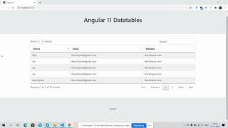 Angular 11 Datatable Working Demo