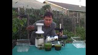 Best Juicer for Leafy Green Vegetables - The Omega 8006 or Omega VRT Juice Off