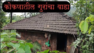 | कोकणातील गुरांचा वाडा | आणि गुरे चरवण्याची मजा | Kokan Vlog |