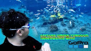 [FULL] GOPRO CAPTURED AMAZING UMBUL PONGGOK UNDERWATER VIEW