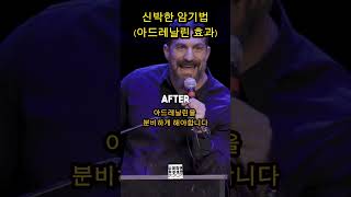 스탠포드 교수의 신박한 암기법(아드레날린 효과/두뇌개발) - Dr. Andrew Huberman