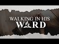 Bible Study || Walking in His Word || November 4, 2024