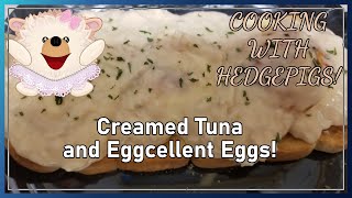Cooking with Hedgepigs - Creamed Tuna and Eggcellent Eggs!