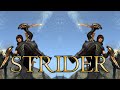 Dragon's Dogma Class Guide: STRIDER