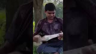 দোতারায় নিথুয়া পাথারে  #banjo #dotara #music #banglasong #song  #ramadaneid #folksong #dotaramusic