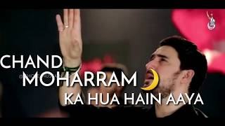 Ayyam e Hussain Whatsapp Status | Muharram Status | Ayyam e Hussain | Farhan Ali Waris | 20191441
