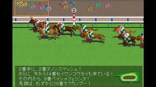 第24回 シルクロードステークス（GⅢ） 1/27現在 JRA競馬レース展開予想 2019年【競馬予想】