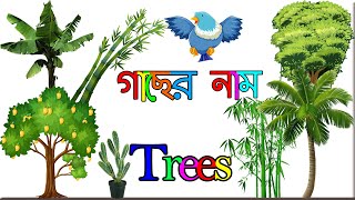 Trees Name | গাছের নাম | Trees Name in English and Bengali | Trees name for kids | Education Vandar