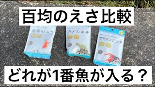 【百均のエサ比較】どれが1番集魚効果があるのか？