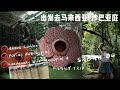 马来西亚-沙巴+昆达山之旅 Malaysia Sabah - Kota Kinabalu & Kundasang Ep. 4