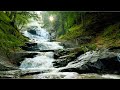 🛐 Relaxing Music 24/7, Healing Music, Meditation Music, Spa Music, Sleep, Zen, Instrumental Music