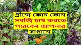 গ্রীষ্মকালে কোন সবজিগুলি সহজেই করতে পারবেন বাড়ির টবে??