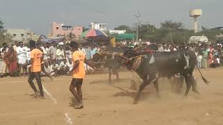 jallipalli 💥🥇 place 💥 Chennappa garu 💥 Topudarti