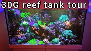 30 gallon Reef Tank Tour