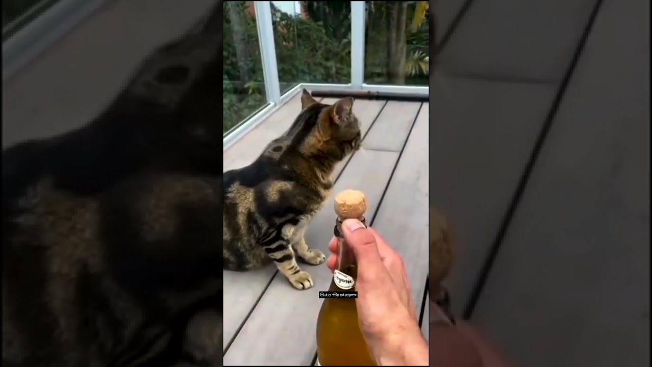 Out of the Blues, Two much blue is also doable specially when it's a soft top. | ABE Premium Cars