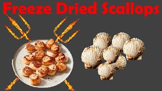 Freeze Dried Scallops