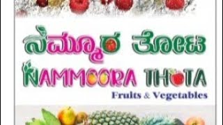 Nammoora Thota In Google Maps||Google Maps ನಲ್ಲಿ ನಮ್ಮೂರ ತೋಟ