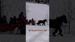 Pferdeschlitten ☃️ Kutschfahrt durch den Schnee: Eine idyllische Reise