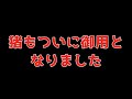 知能犯の猪を追う、遂に捕まえた【有害駆除】