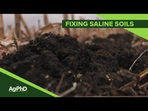 How can we reduce salinity in water?