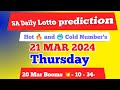 Sa daily lotto prediction for 21 March 2024 | south africa daily lotto prediction