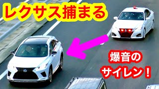 【激録】覆面パトカーがレクサスを捕まえる瞬間‼️ 『取り締まり サイレン』