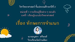 ทักษะกระบวนการทางวิทยาศาสตร์ : ทักษะการจำแนก ป.2