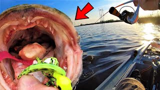 Chatterbait DESTROYED Fishing Blackwater National Wildlife Refuge (New PB)