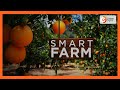 Smart Farm | Focus on pixie farming in Makueni County