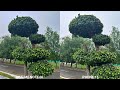 realme note 60 vs iphone 15 camera test comparison