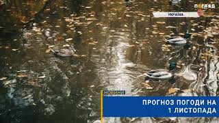 🌤Прогноз погоди на 1 листопада: хмарно