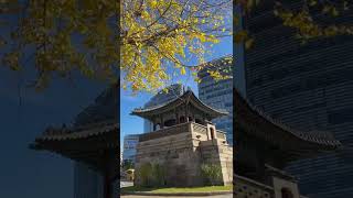 在首尔的秋天做一次美丽“冻”人的朝鲜公主吧#韩国 #旅行 #korea #韩服#景福宫