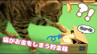 猫が飛び出る貯金箱vsベンガル猫