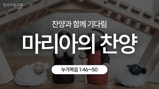 [241201] 판교소망교회 청년부 예배 [마리아의 찬양1 | 찬양과 함께 기다림] 누가복음 1:46~50