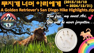 Ari, a golden retriever's San Diego hiking highlights - Ahjae's San Diego Hiking Feb 5, 2025