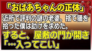 【感動する話】おばあちゃんの正体【泣ける話】　〜近所で評判の謎の老婆。捨て猫を拾った僕は助けを求めた。すると屋敷の門が開き『・・入ってこい』〜