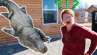 Lady Sees Alligator For The First Time!!!