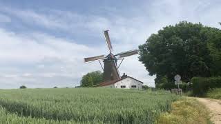 Windmill on a breezy day in Nuth