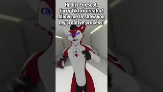 The Furry Creative Process in a nutshell