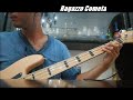 Survivor - Eye of the tiger bass cover