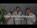 What is the Mediastinum? Learn Integral Anatomy with Gil Hedley