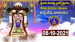 శ్రీవారి బ్రహ్మోత్సవాలు | Srivari Brahmotsavalu | ChinnaSesha Vahanam |Tirumala |07-10-2021| SVBCTTD