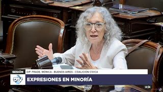 Diputada Frade, Mónica - CC-ARI - Expresiones en minoría - 13Hs - 26-11-2024