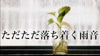 【ただただ落ち着く雨の音】心穏やかにスーッと眠れる雨音　528Hz+432Hz+963Hz　極微音量ソルフェジオ周波数 🌿 自律神経を整える・細胞修復・健康促進｜睡眠用BGM・作業用BGM