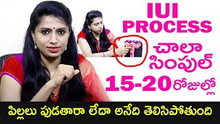 15-20 రోజుల్లో తెలిసిపోతుంది: IUI Process Detailed Explanation By Dr. Jyothi | Ferty9 Hospitals | HQ