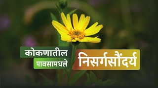 कोकणातील निसर्ग सौंदर्य, kokanatil  Nisarg Saundarya