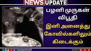 NEWS QUE TAMIL | PALANI VIBUTHI | PALANIMURUGAN | விபூதி