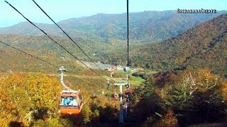 札幌国際スキー場の紅葉ゴンドラ - 札幌市 2013 Colored Leaves Gondola