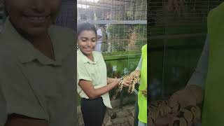 #shortsfeed #snake/PQ Exotic Birds Park/#pqexoticbirdspark#poornasfunworld